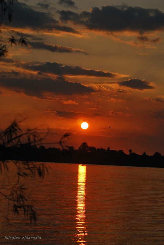 "atardecer en laguna ibera" de nicolas chiaradia