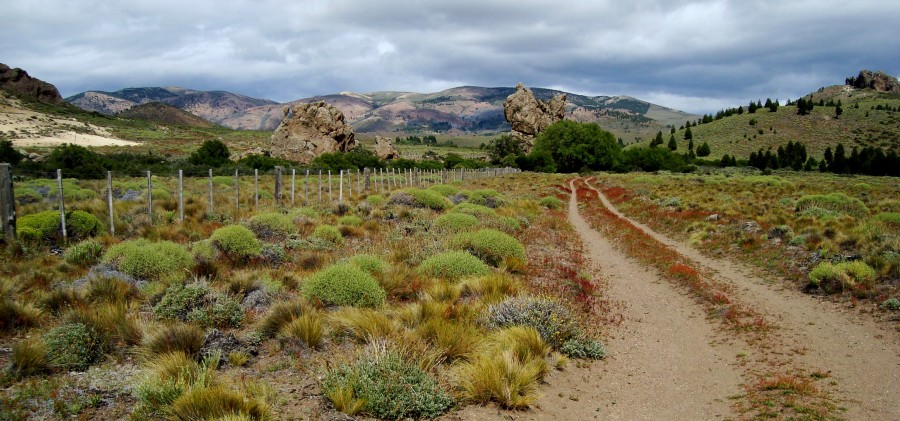 "estepa patagonica" de David Eduardo Montemurri