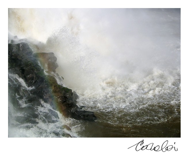 "Donde cae el agua (Iguaz)" de Silvia Corvaln