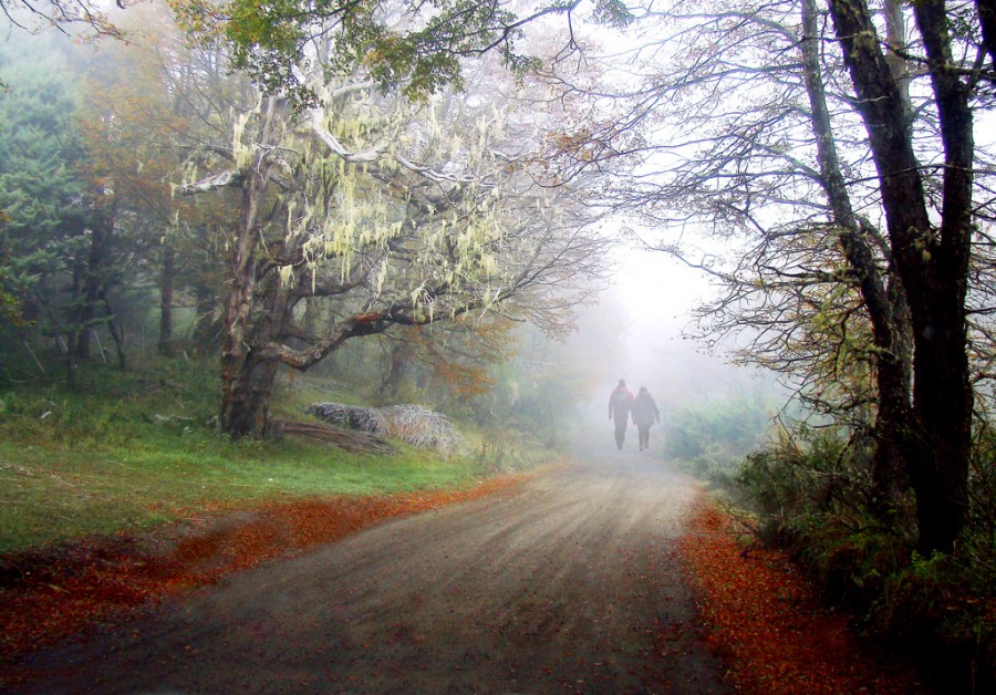 "Caminantes" de Mabel Ana Solvas