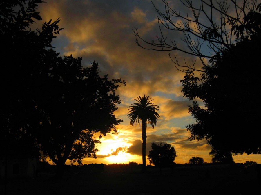 "Luces del atardecer" de Mara Griselda Garca Cuerva