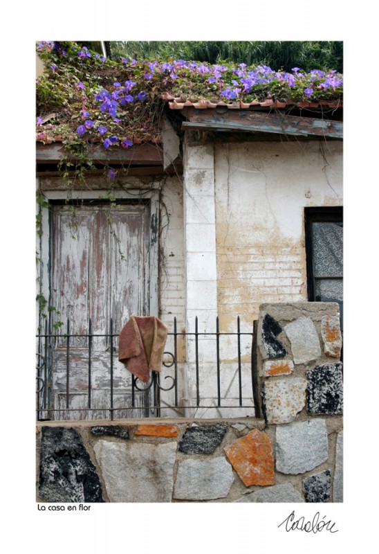 "La casa en flor" de Silvia Corvaln