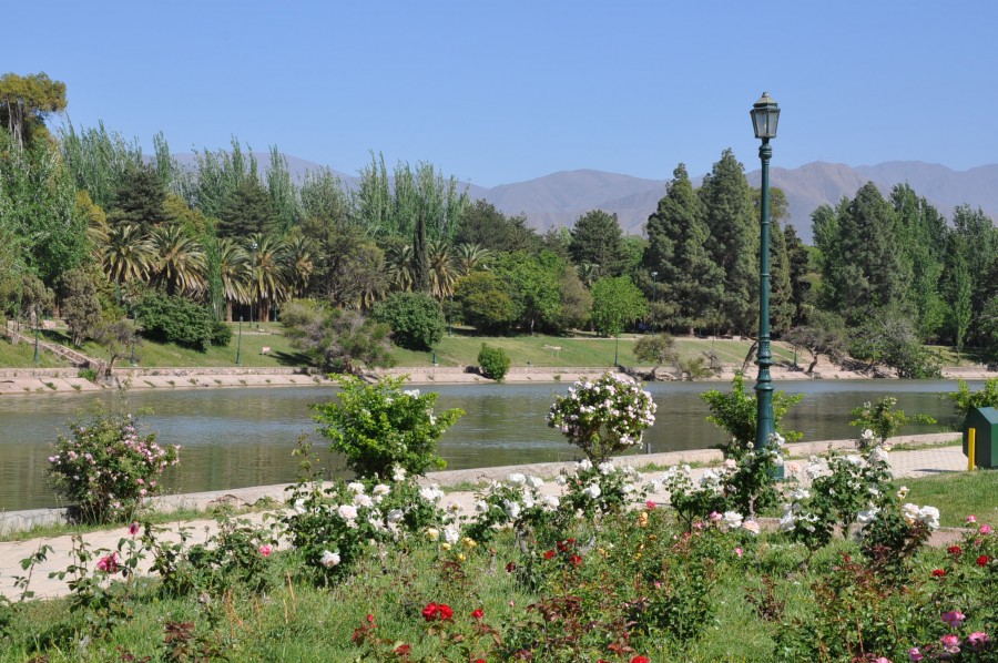 "PARQUE G.S.MARTIN-ROSEDAL" de Jose Alberto Vicente