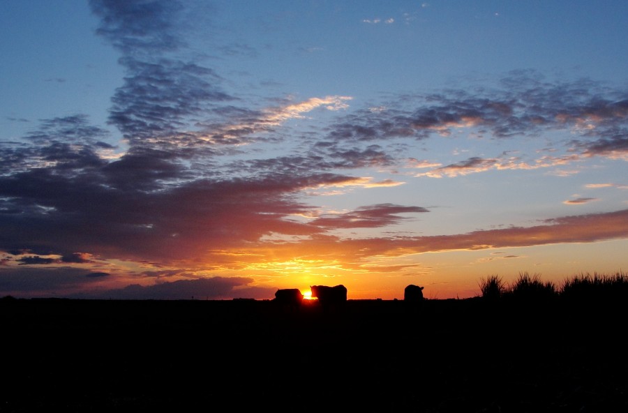 "El ocaso" de Ricardo Lagrange