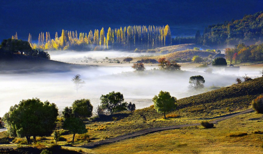 "Niebla" de Mabel Ana Solvas