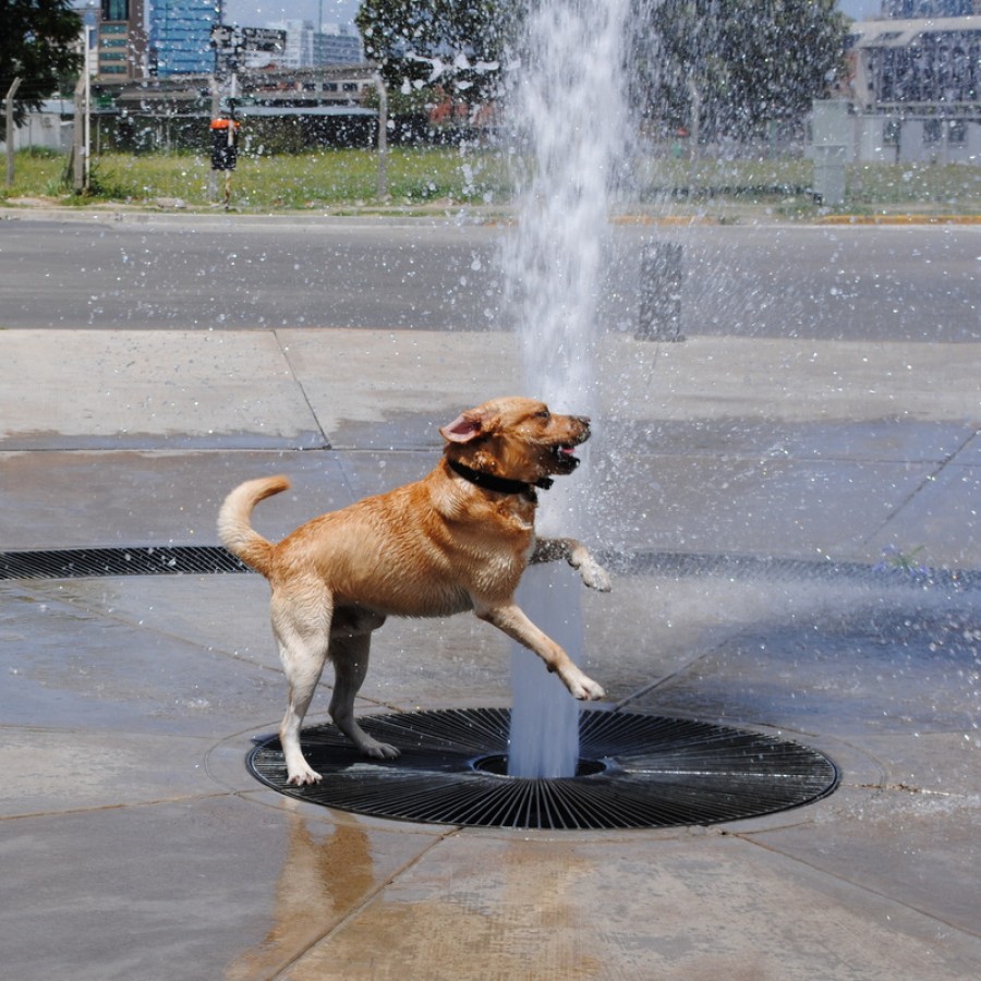 "Calor !!!!" de Salomon Malec