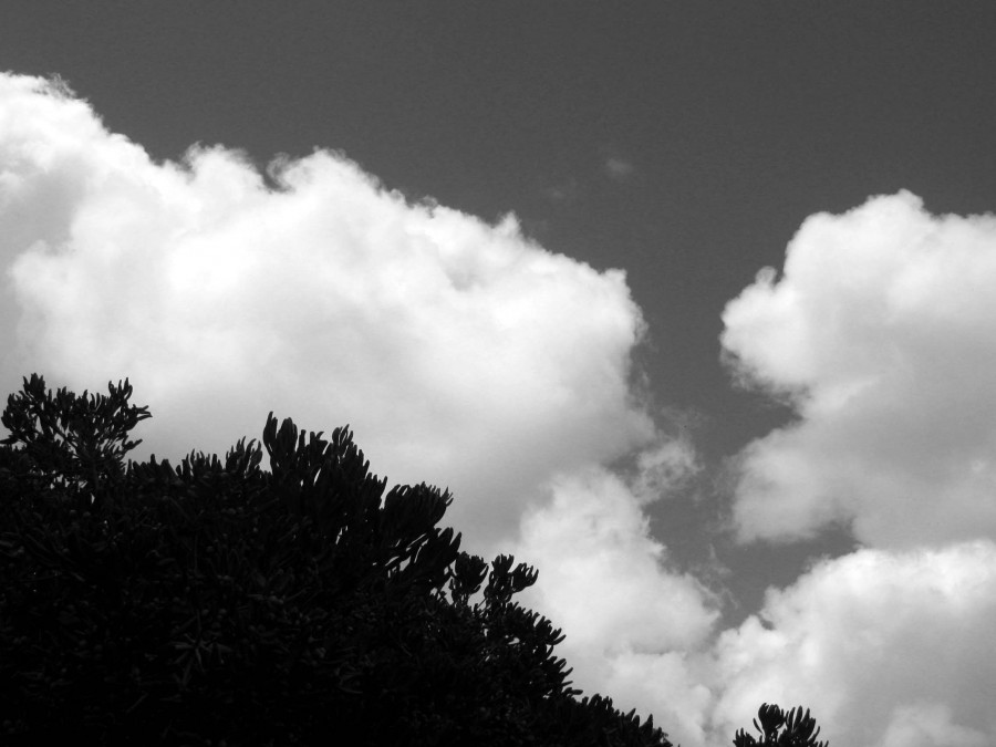 "Entre las nubes I" de Mara Griselda Garca Cuerva