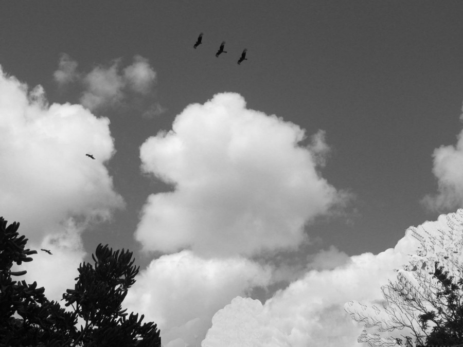 "Entre las nubes II" de Mara Griselda Garca Cuerva