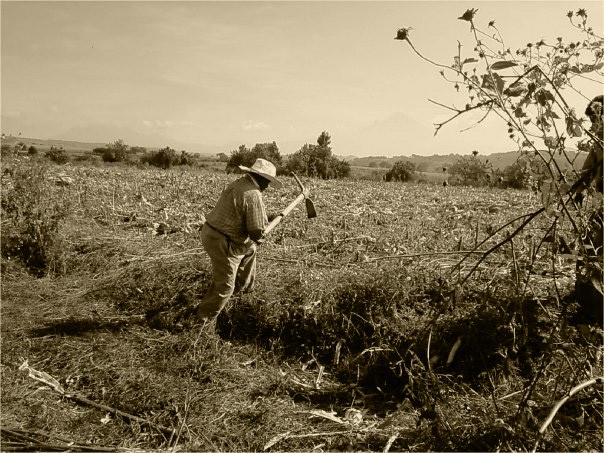 "El campesino" de Alma Delia Franco Cacho