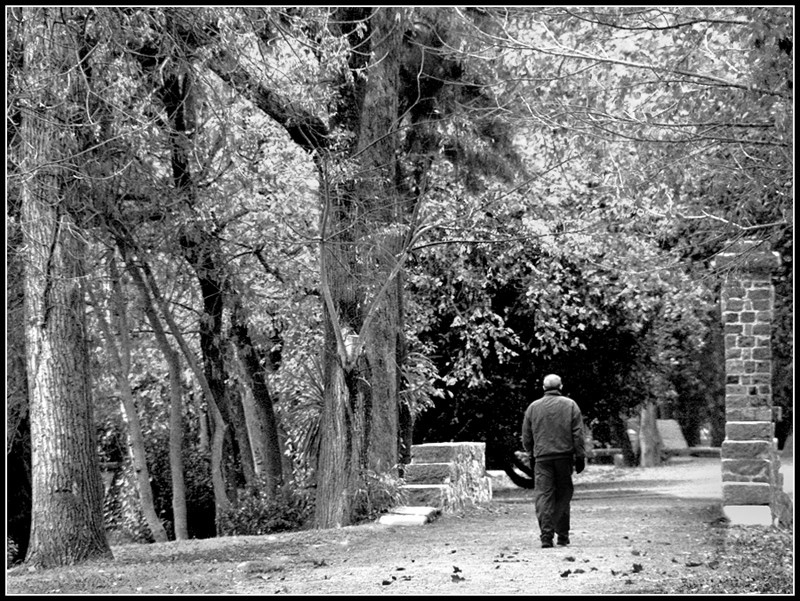 "En el camino" de Eli - Elisabet Ferrari