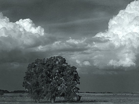 "Campo y cielo argentinos" de Ricardo S. Spinetto