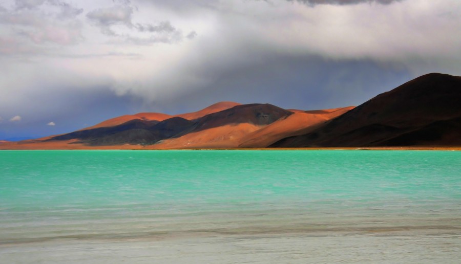 "Salar del Hombre Muerto" de Edith Polverini