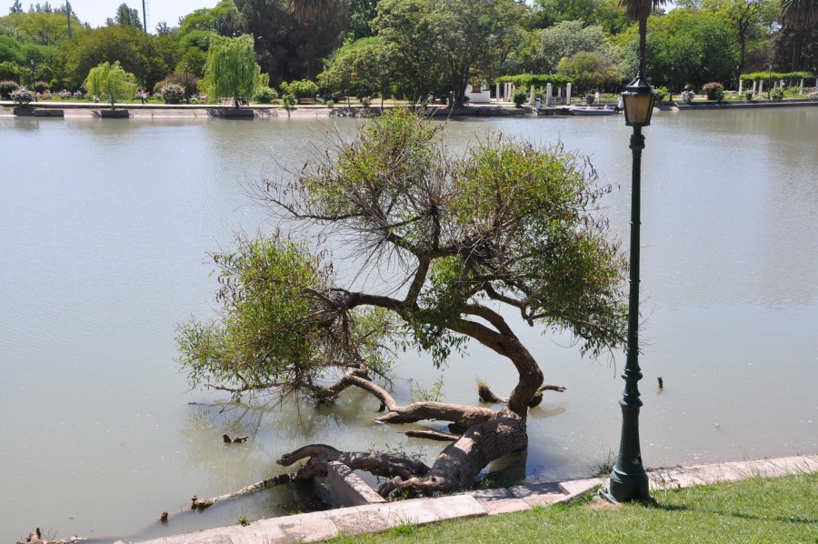 "LAGO DEL PARQUE GRAL.SAN MARTIN" de Jose Alberto Vicente