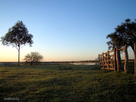 "Amanecer campestre" de Miguel Angel Dosio