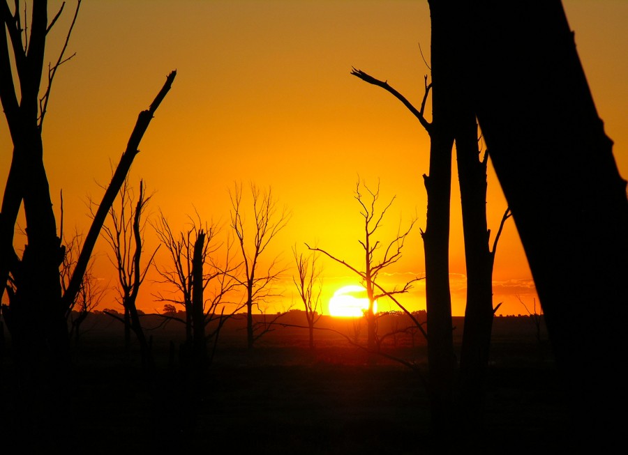 "atardecer en lagon Epecuen" de Rolando N Facello