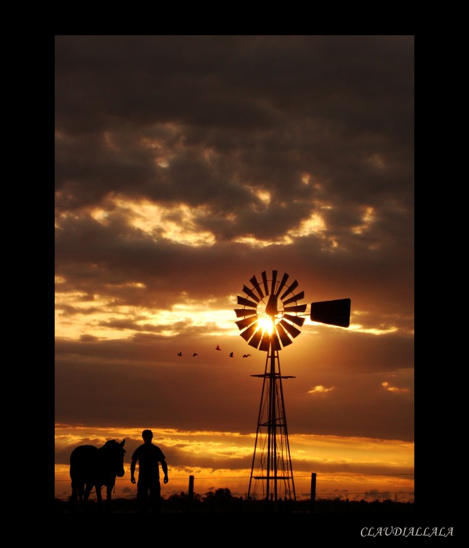 "Una tarde por el campo" de Claudia Alejandra Allala