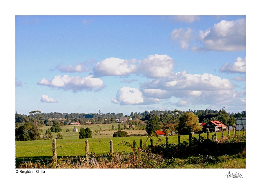 "Llanquihue, X Regin, Chile" de Silvia Corvaln