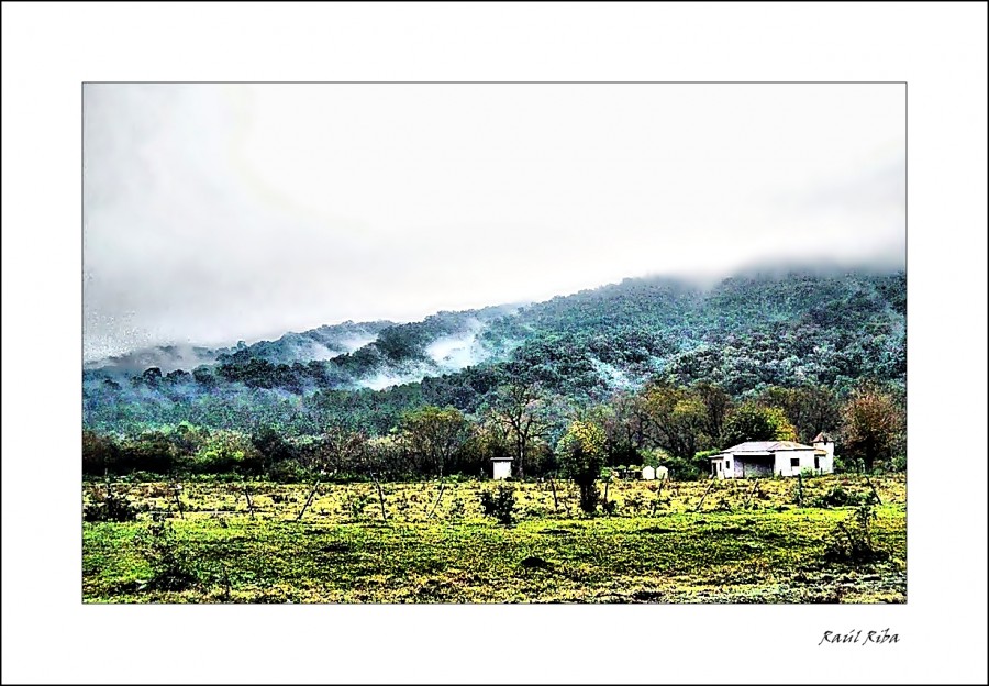 "campestre" de Ral Riba