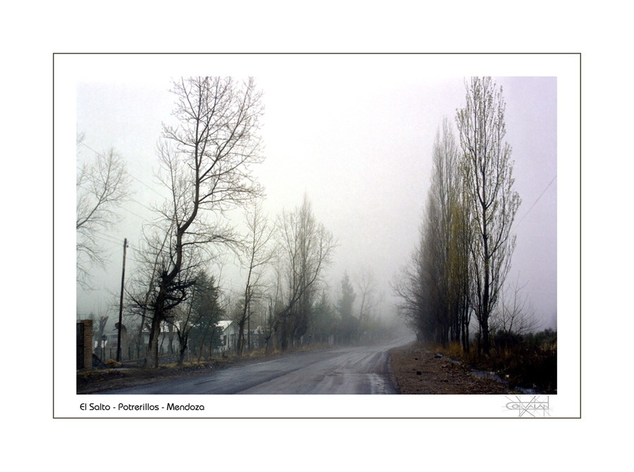 "El Salto, Potrerillos, Mendoza" de Silvia Corvaln