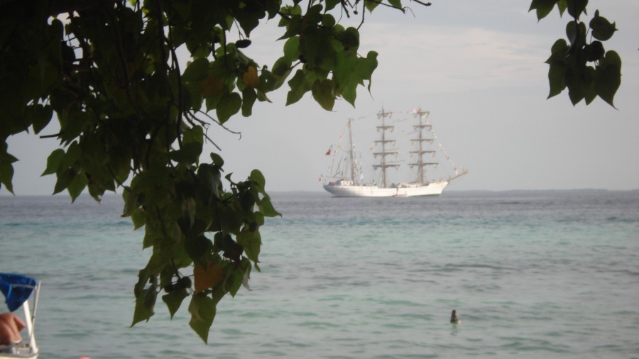 "Mirando la Fragata Cuahtemoc Desde el Arbol.." de Alberto Rodolfo Dillon