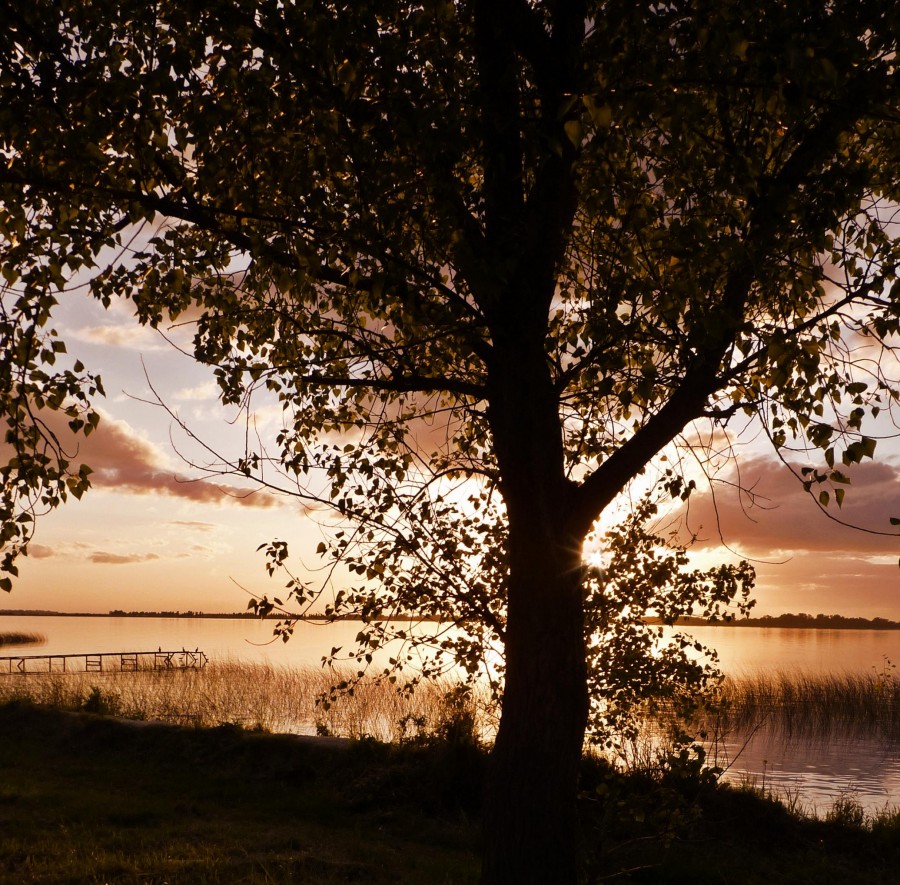 "detras el atardecer" de Noemi Gomez