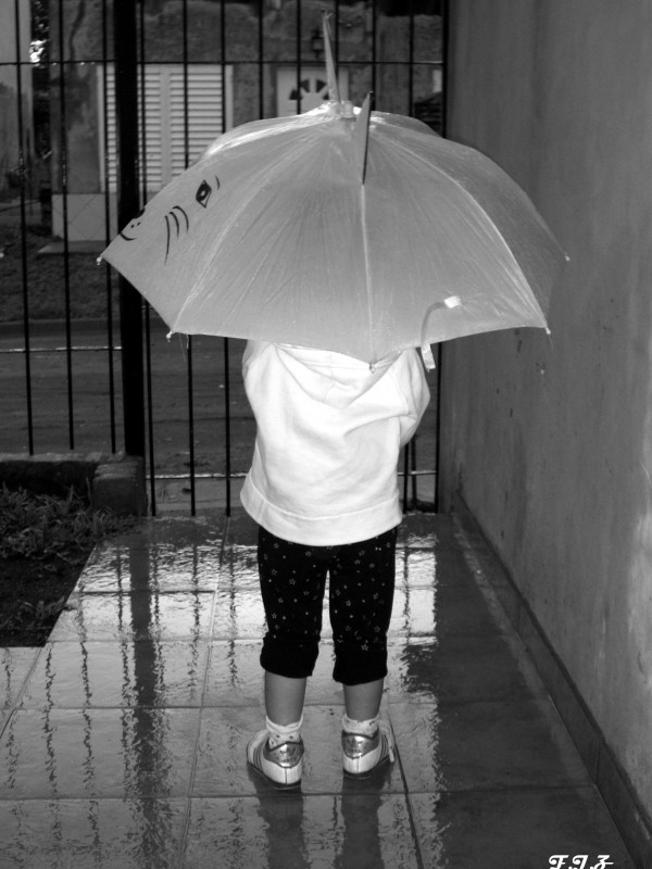 "Solo yo espero bajo la lluvia..!!" de Flavio Zanetti