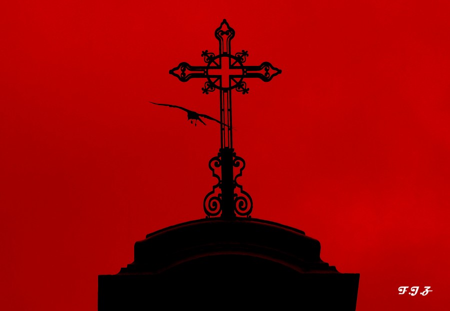 "La cruz y el aguila..!!" de Flavio Zanetti