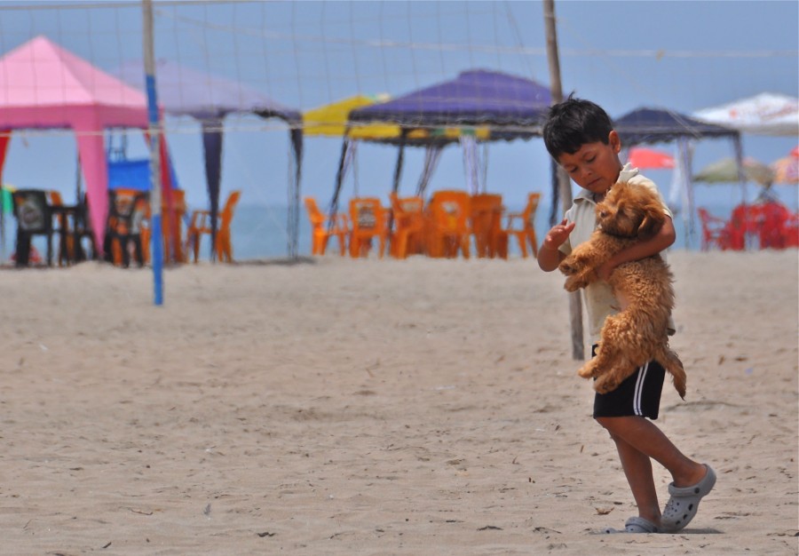 "perro de playa" de Stella Miranda