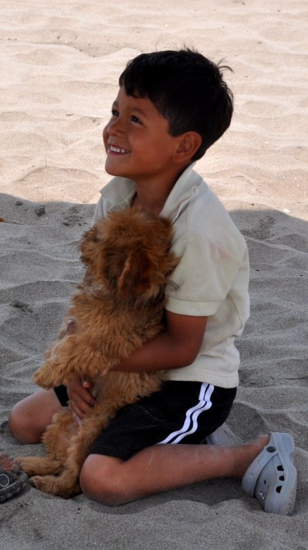 "perro de playa 2" de Stella Miranda