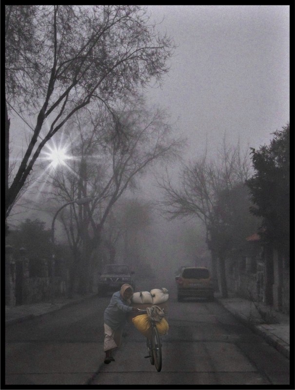 "`Maana de niebla`" de Pillon Juan