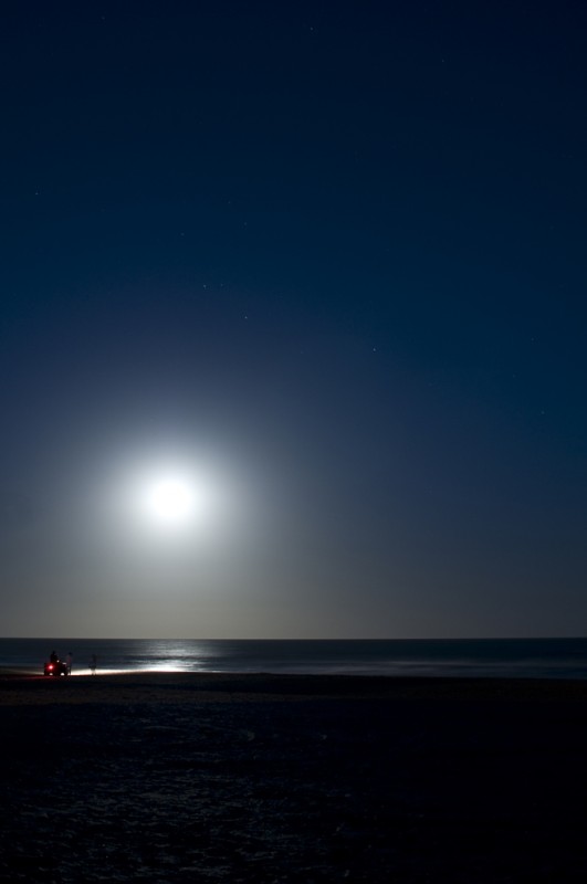 "Siguiendo la luna no llegar lejos ..." de Sergio Martino