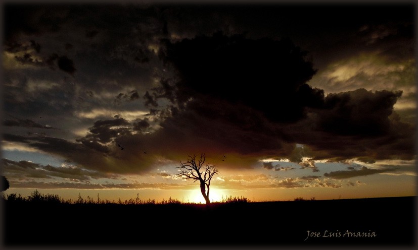 "tarde negra" de Jose Luis Anania