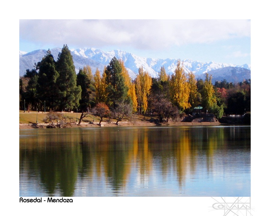 "El otoo en Mendoza" de Silvia Corvaln