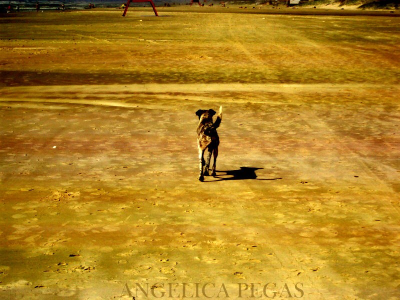 "soledad en la playa" de Anglica Pegas