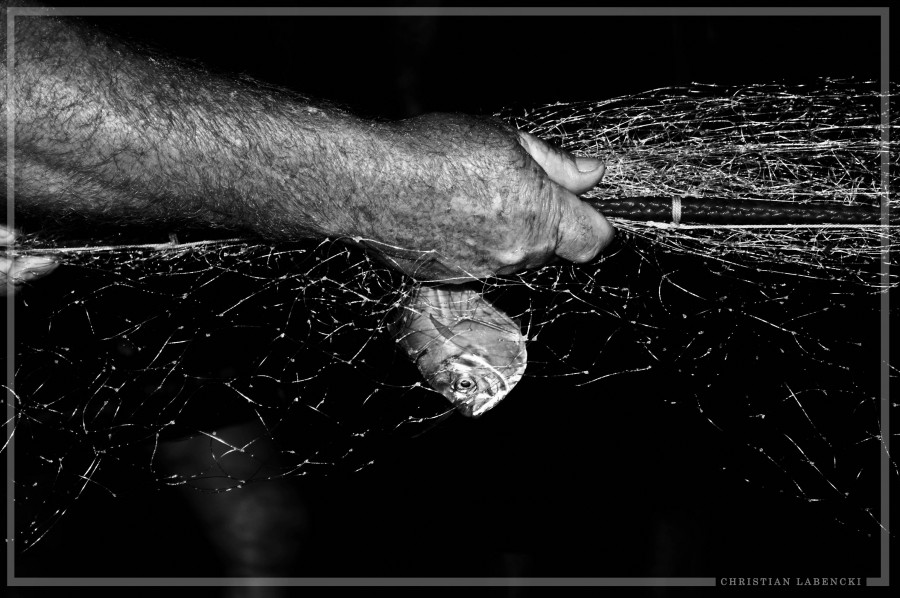 "Ms vale pescado en mano..." de Christian Labencki