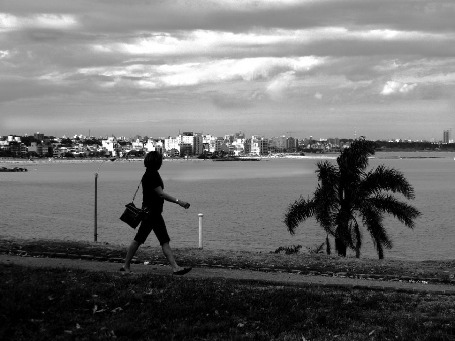 "Paseo por el ro" de Stella Armandi