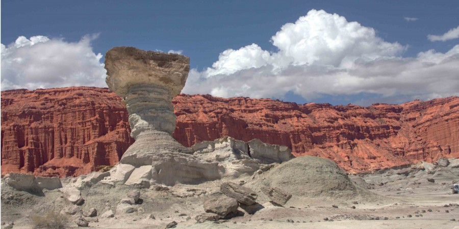 "El hongo (Ischigualasto)" de Edgardo Videla