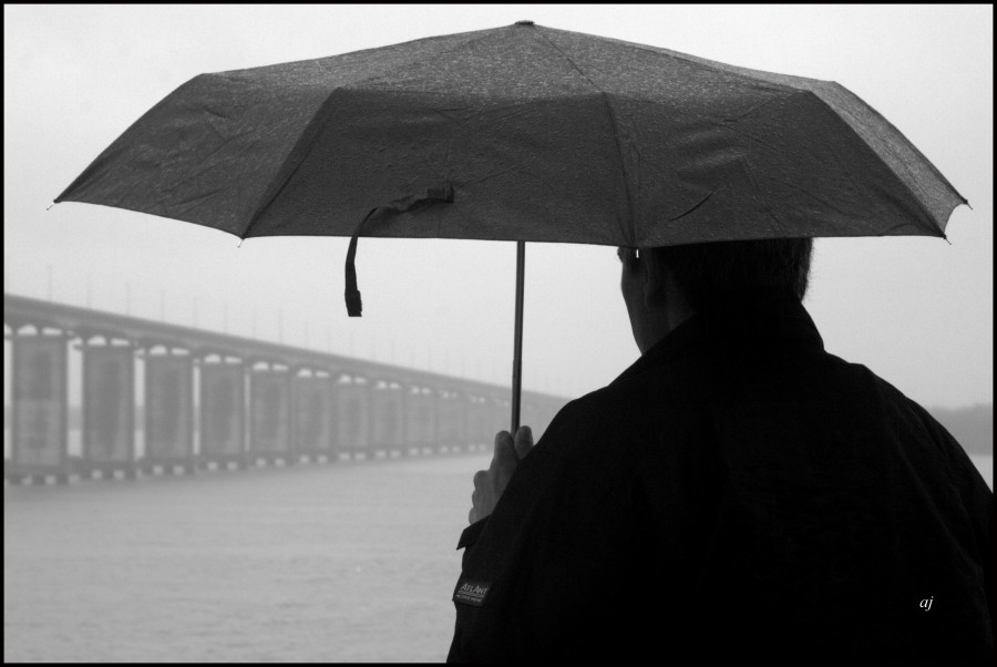 "lluvia sobre el puente" de Ana Jannelli