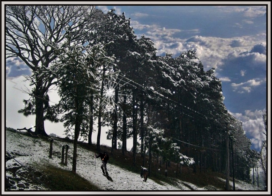 "`Ascendiendo`" de Pillon Juan