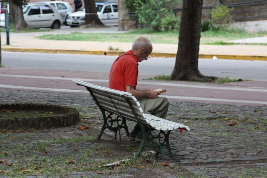 "El lector de la plaza" de Leonor Broide