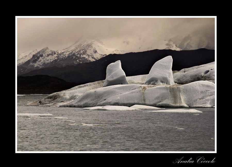 "La ballena del glaciar" de Analia Coccolo