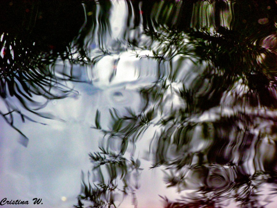 "Reflejos en el estanque..." de Cristina Wnetrzak