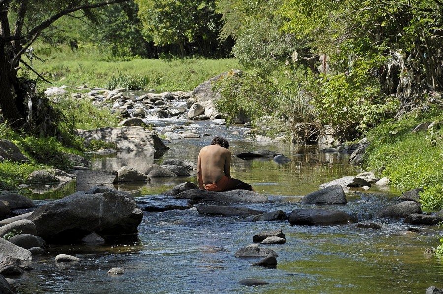 "Joven abstrado en la naturaleza" de Ral Cancela