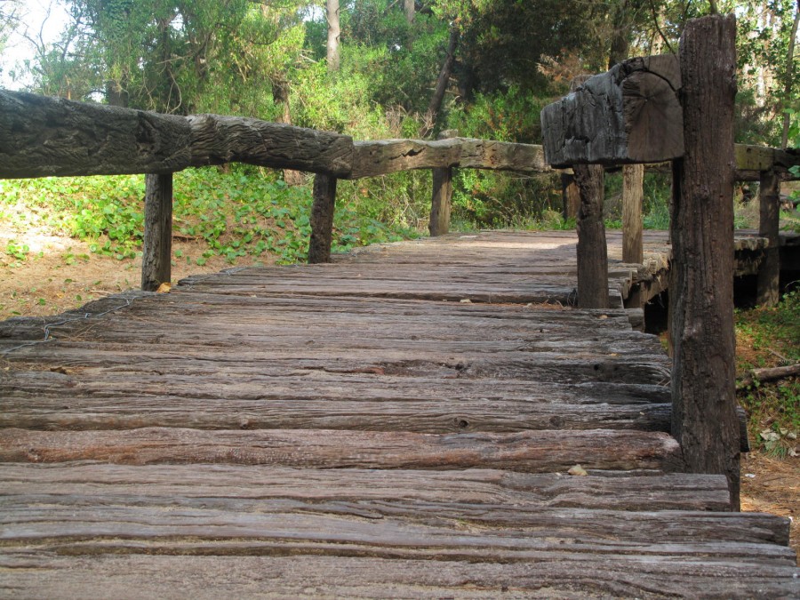 "Puente al paraiso" de Ana Julia Chevez De Centioni