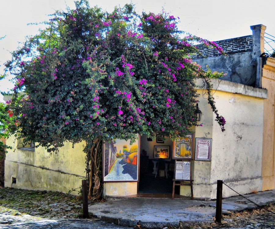 "Bella esquina de Colonia" de Marina Larramendy