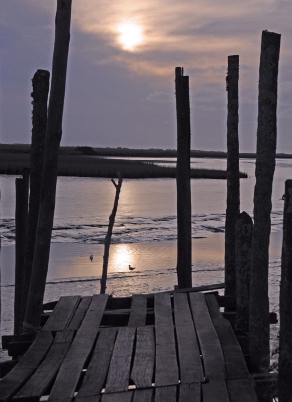 "muelle al sol" de Edith Polverini