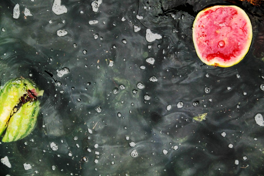 "watermelon" de Chino Ferrari