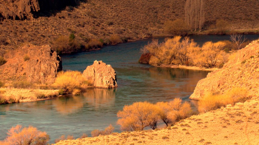 "El Rio Limay" de Gaston E. Polese