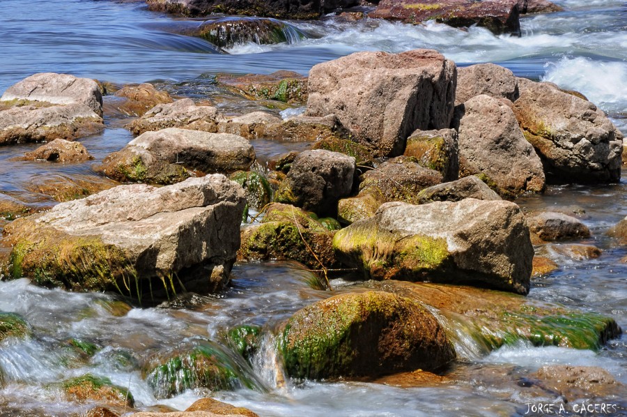 "``al son del agua`" de Jorge A. Cceres