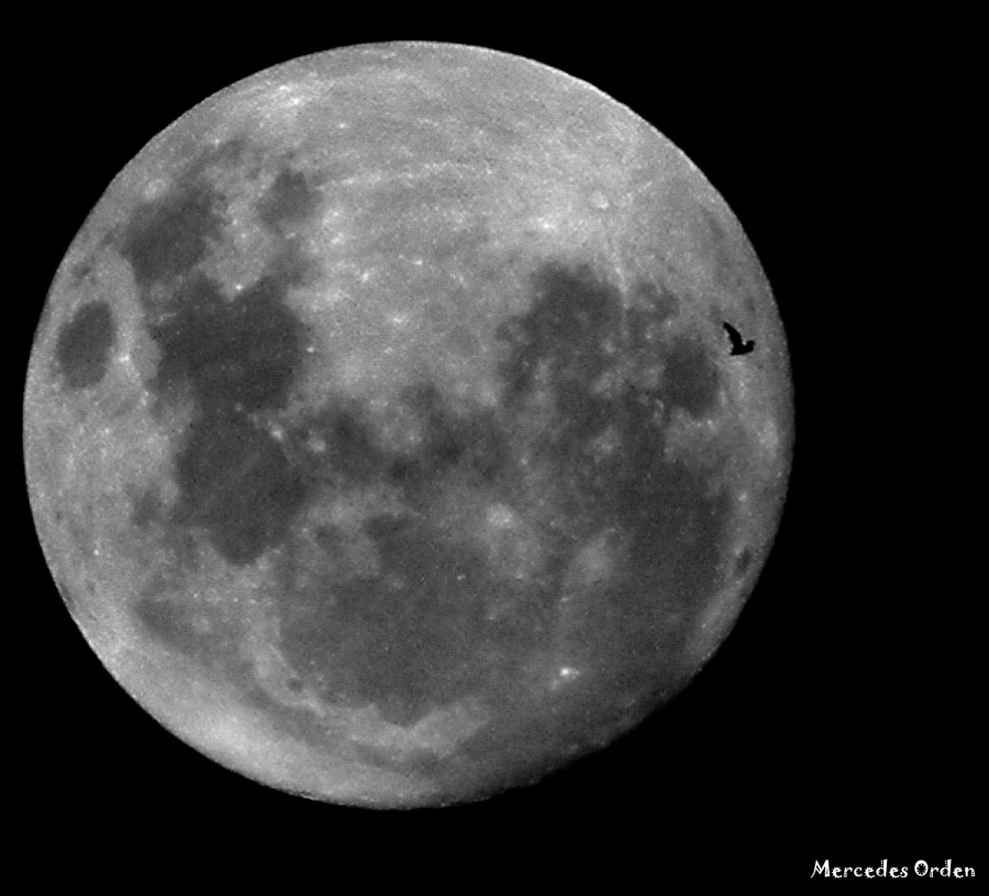 "la luna... y el murcilago!!!" de Mercedes Orden